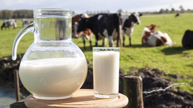 health benefits of milk