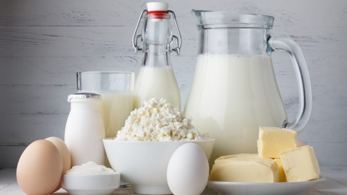 dairy in your diet plan