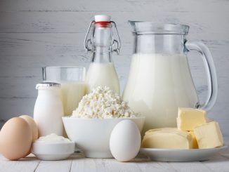 dairy in your diet plan